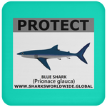 PRS BLUE SHARK V2 C
