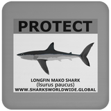 PRS LONGFIN V2 C