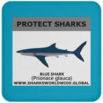 PRS BLUE SHARK V1 C