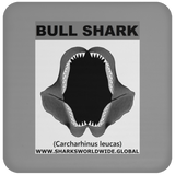 GR BULL SHARK J C