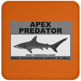 AP G HAMMERHEAD C