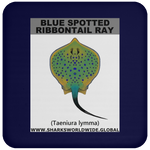 GR BS RIBBONTAIL C