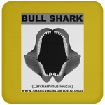 GR BULL SHARK J C