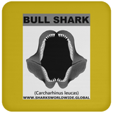 GR BULL SHARK J C