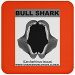 GR BULL SHARK J C