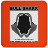 GR BULL SHARK J C