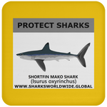 PRS SHORTFIN V1 C