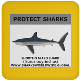 PRS SHORTFIN V1 C