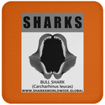 GR SRS J BULL SHARK C