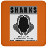 GR SRS J BULL SHARK C