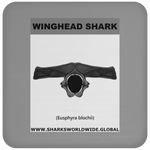 GR WINGHEAD J C