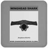 GR WINGHEAD J C