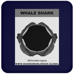 GR WHALE S J C