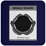GR WHALE S J C