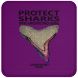 PSKT CRS C