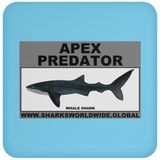 AP WHALE S C