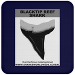 GR BLACKTIP REEF T C