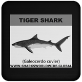 SSP TIGER SHARK C