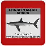 SSP LONGFIN C