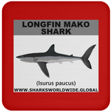 SSP LONGFIN C