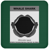 GR WHALE S J C