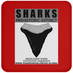 GR SSPX T MEGALODON C