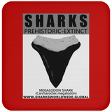 GR SSPX T MEGALODON C