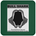 GR BULL SHARK J C