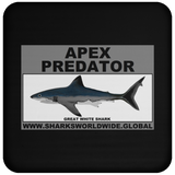 AP GREAT WHITE C