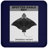 SPOTTED EAGLE RAY C