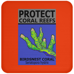 PCRS BIRDS C