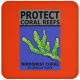 PCRS BIRDS C