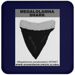 GR MEGALOLAM T C