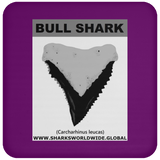 GR BULL SHARK T C