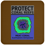 PCRS MEAT C