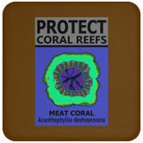 PCRS MEAT C