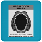 GR MEGALODON J C