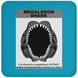 GR MEGALODON J C