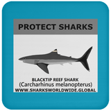 PRS BLACKTIP REEF V1 C