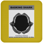 GR BASKING SHARK J C