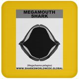 GR MEGAMOUTH J C
