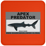 AP WHALE S C