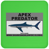 AP BLUE SHARK C