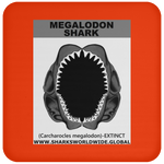 GR MEGALODON J C