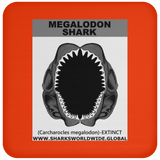 GR MEGALODON J C
