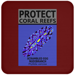 PCRS S EGG C