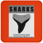 GR SRS T OCEANIC WT C