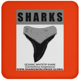 GR SRS T OCEANIC WT C