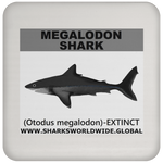 SSP MEGALODON C