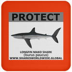 PRS LONGFIN V2 C